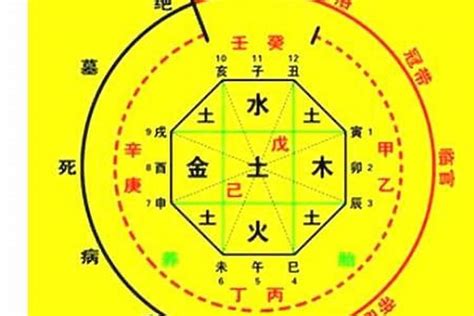 八字十種屬性|免費生辰八字五行屬性查詢、算命、分析命盤喜用神、喜忌